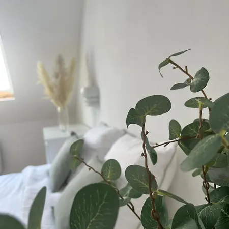 Apartment Alexander Home With Parking Colmar